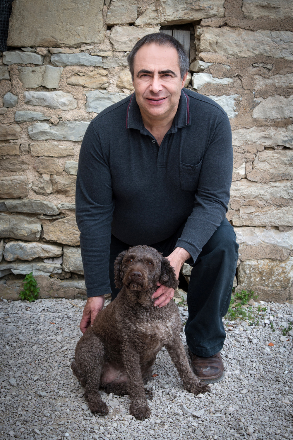 Truffes, quelle race de chien pour les trouver ? L