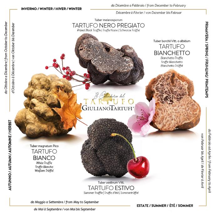 Poudre de truffe noire de Bourgogne ou truffe de champagne - direct  producteur