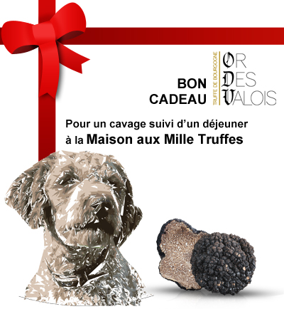 Bon Cadeau - Cavage et déjeuner pour une personne