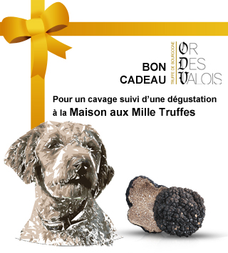 [KDODEGU] Bon Cadeau - Cavage et dégustation pour une personne
