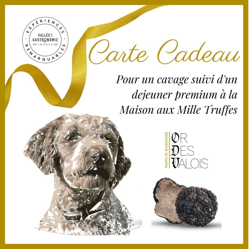 [KDOVG] Bon Cadeau 1 Personne = Cavage et déjeuner PREMIUM  - Spécial Vallée de la Gastronomie